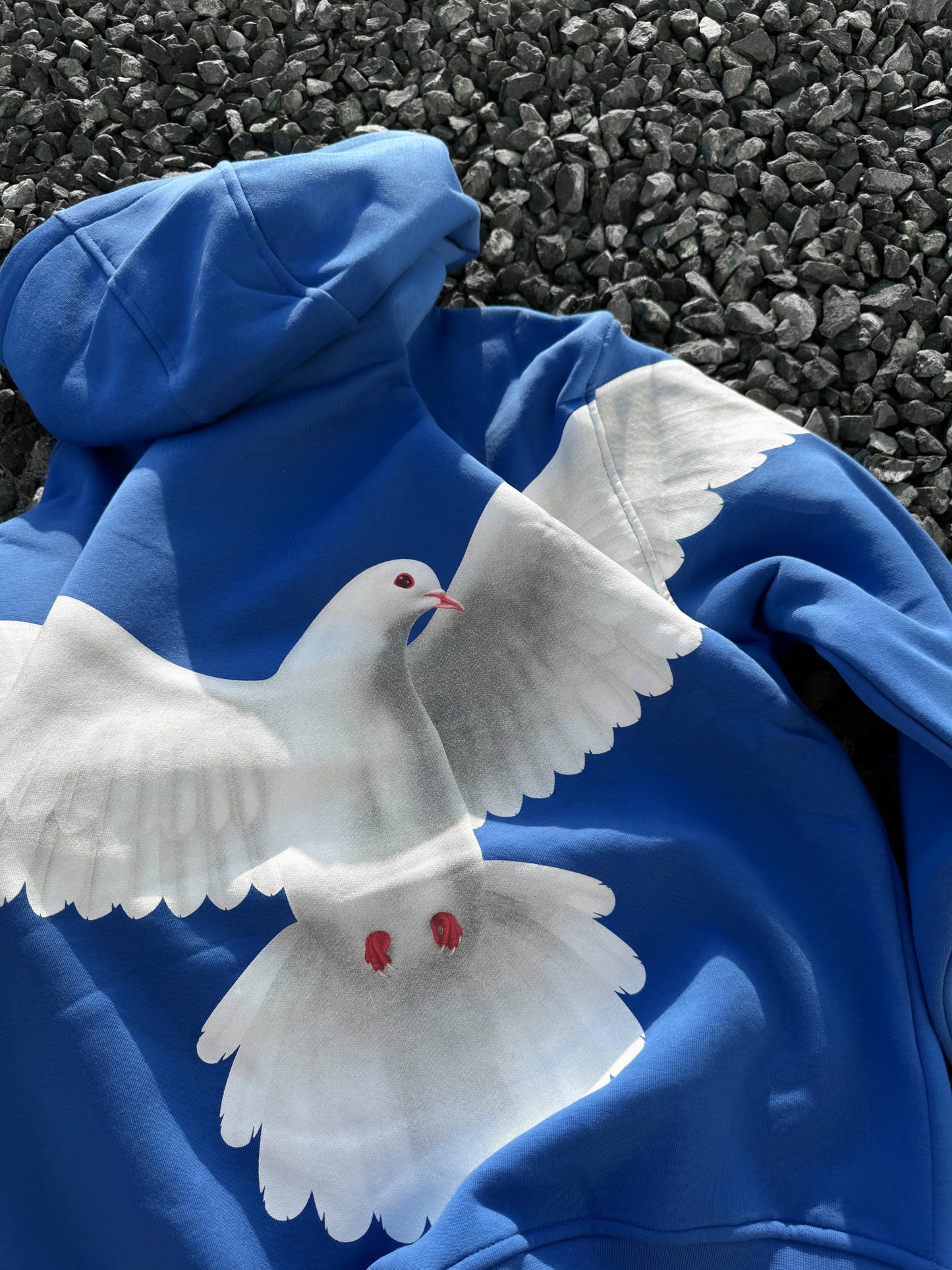 Blue Pigeon Hoodie