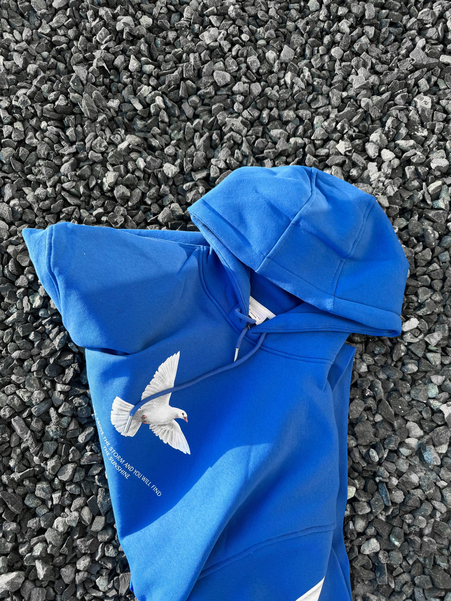 Blue Pigeon Hoodie